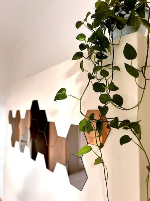 Elegante In Centro Appartement