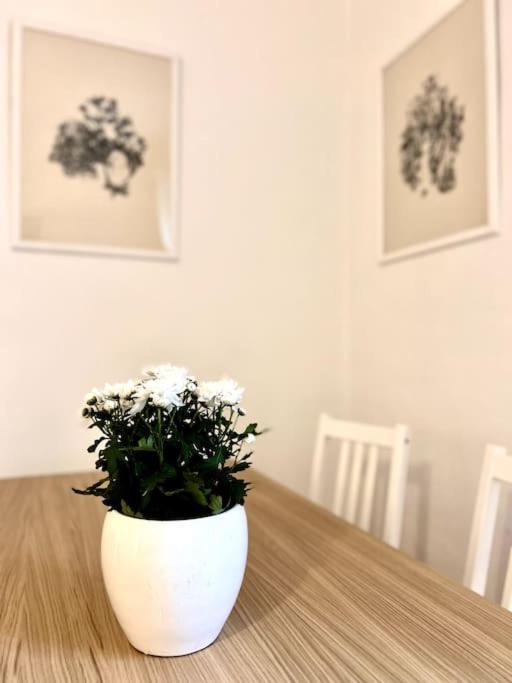 Apartamento Elegante In Centro *